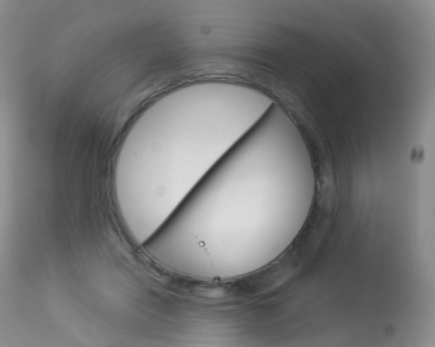 X0000113960454200909251031