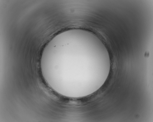 X0000113960455200909251031