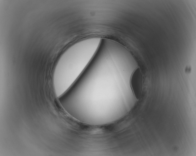 X0000113960456200909251031