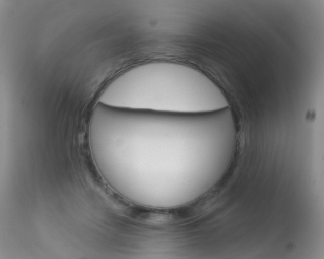 X0000113960458200909251031