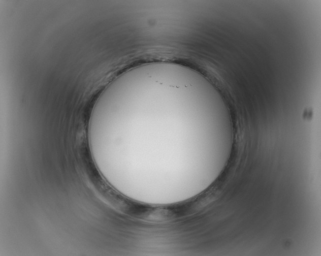 X0000113960459200909251031