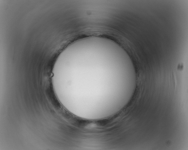 X0000113960460200909251031