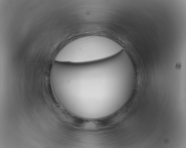 X0000113960461200909251031