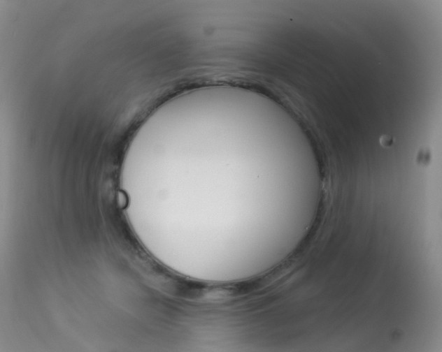 X0000113960462200909251031