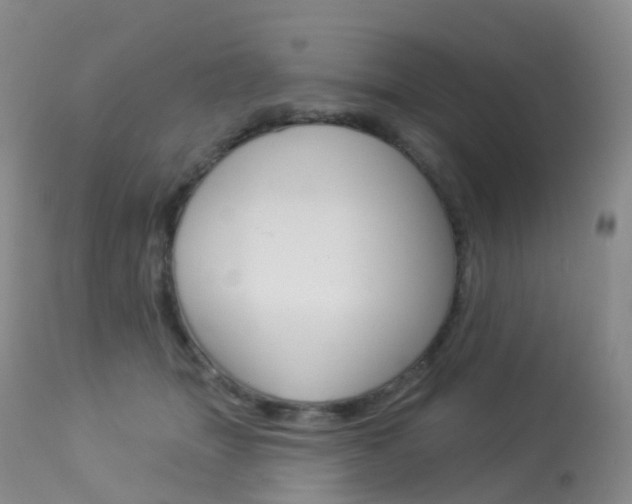X0000113960463200909251031