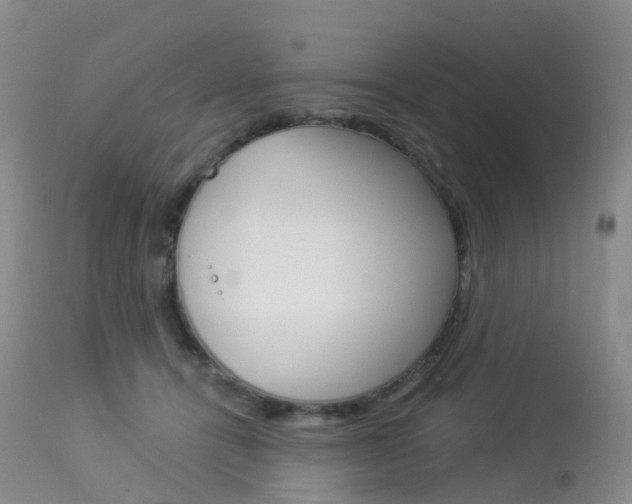 X0000113960464200909251031