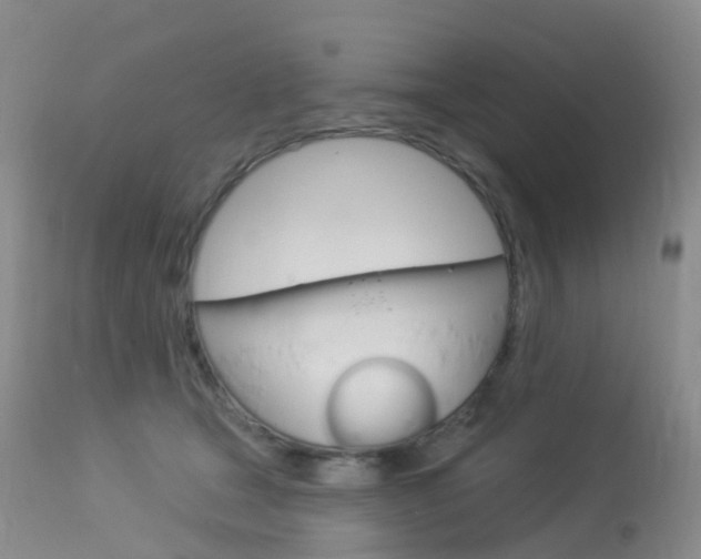 X0000113960465200909251031