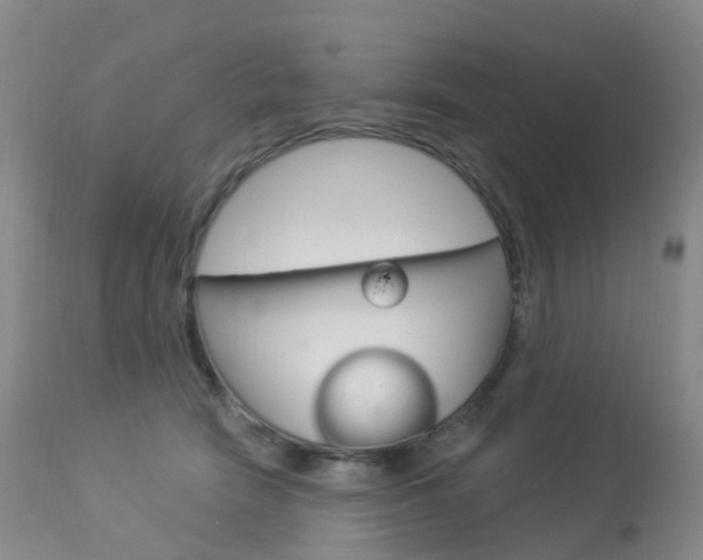 X0000113960466200909251031