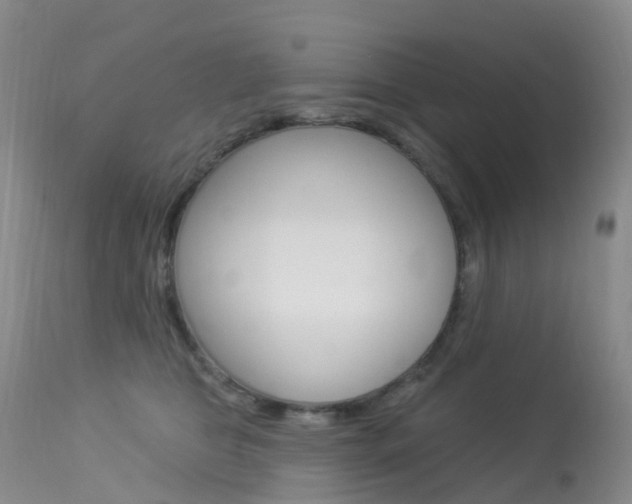 X0000113960469200909251031
