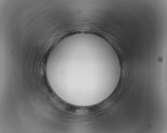 X0000113960470200909251031