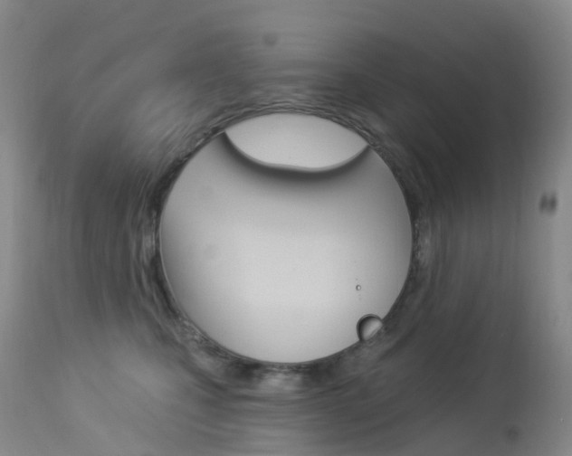 X0000113960471200909251031