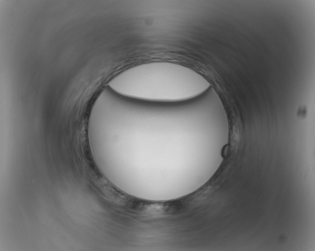 X0000113960473200909251031