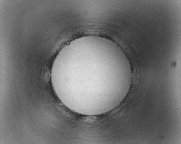 X0000113960474200909251031