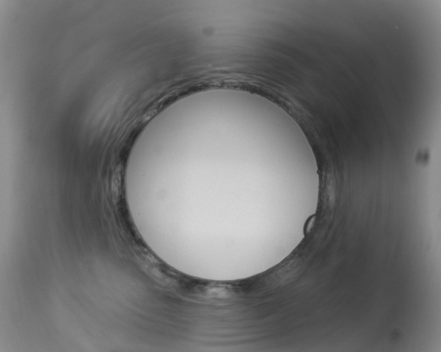 X0000113960475200909251031
