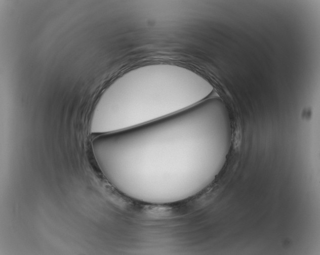 X0000113960476200909251031