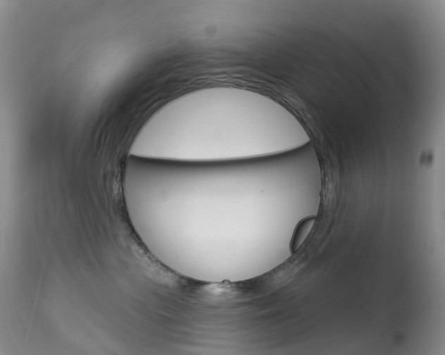X0000113960477200909251031
