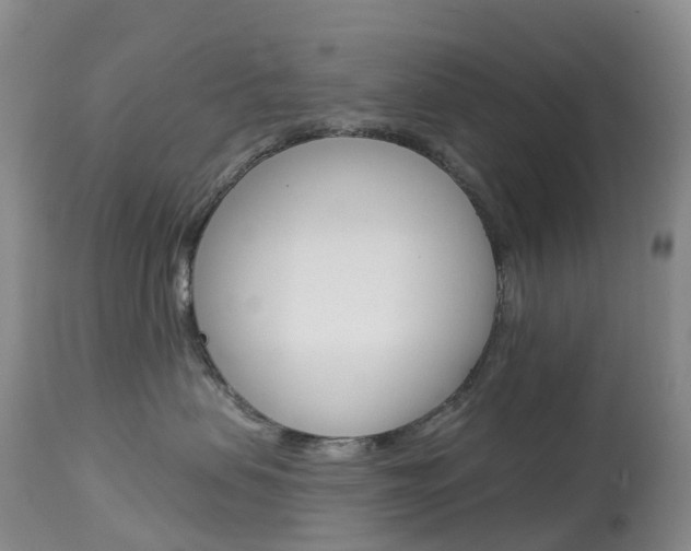 X0000113960479200909251031