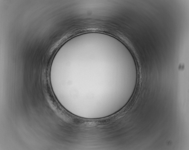 X0000113960482200909251030