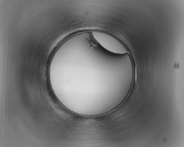 X0000113960483200909251030