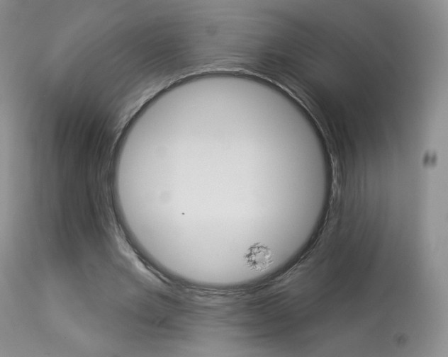 X0000113960485200909251030