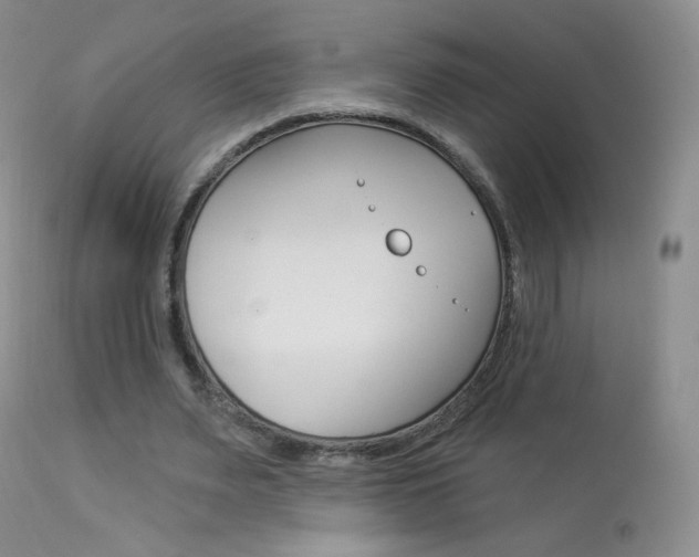 X0000113960487200909251030