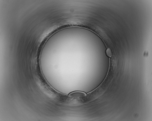 X0000113960488200909251030