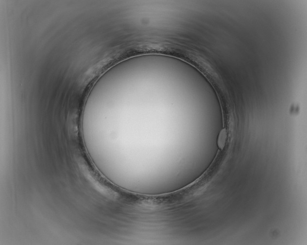 X0000113960489200909251030