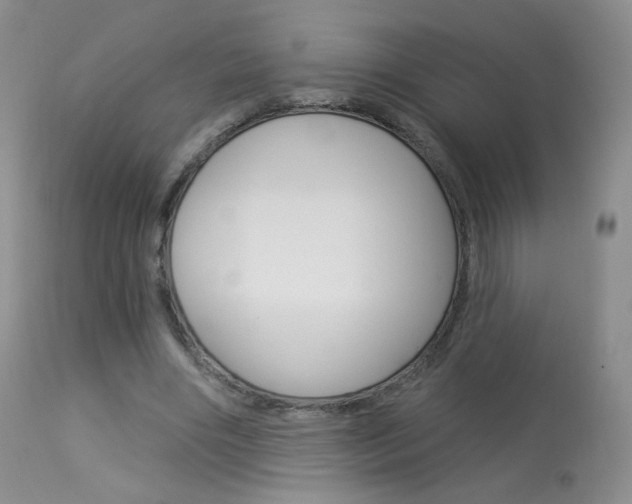 X0000113960490200909251030
