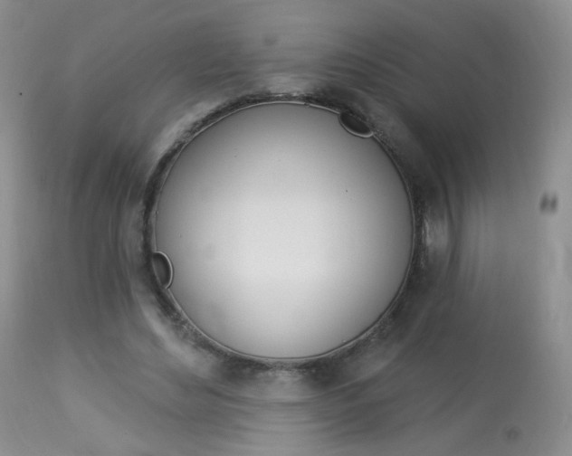 X0000113960492200909251030