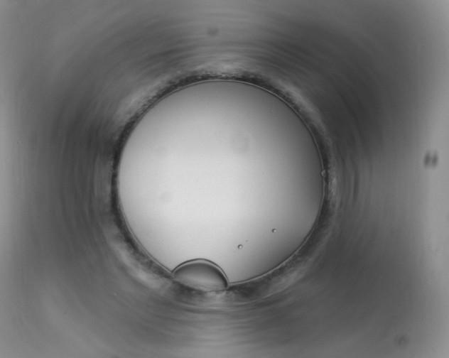 X0000113960493200909251030