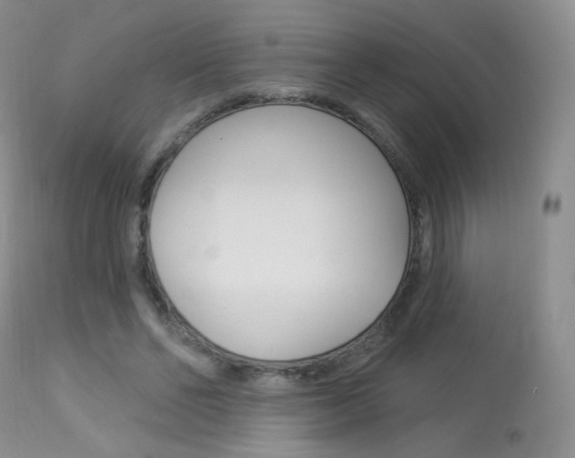 X0000113960494200909251030
