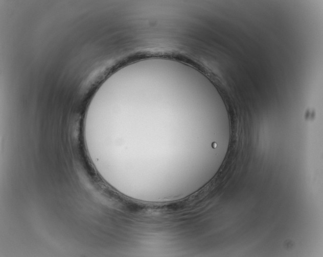 X0000113960495200909251030