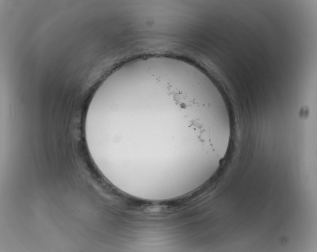 X0000113960497200909251030