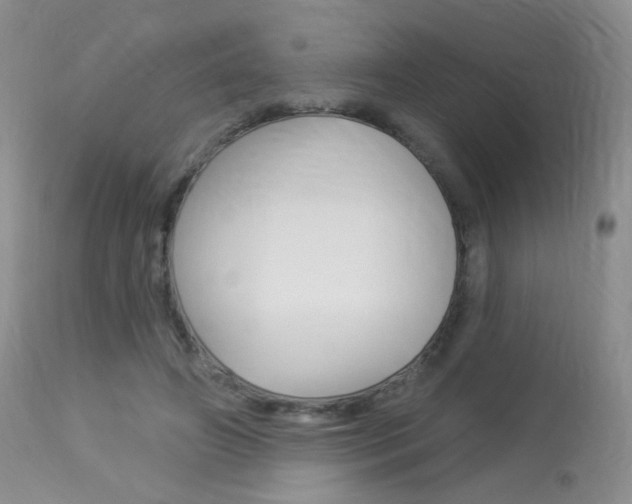 X0000113960498200909251030