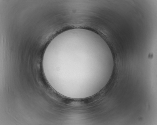 X0000113960499200909251030