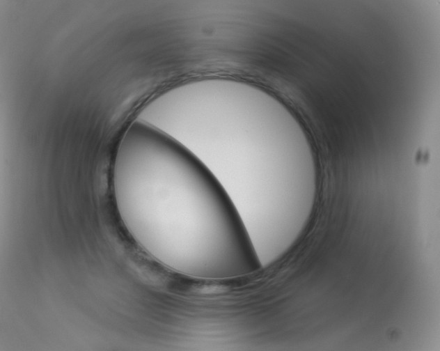 X0000113960501200909251030