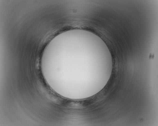 X0000113960502200909251030