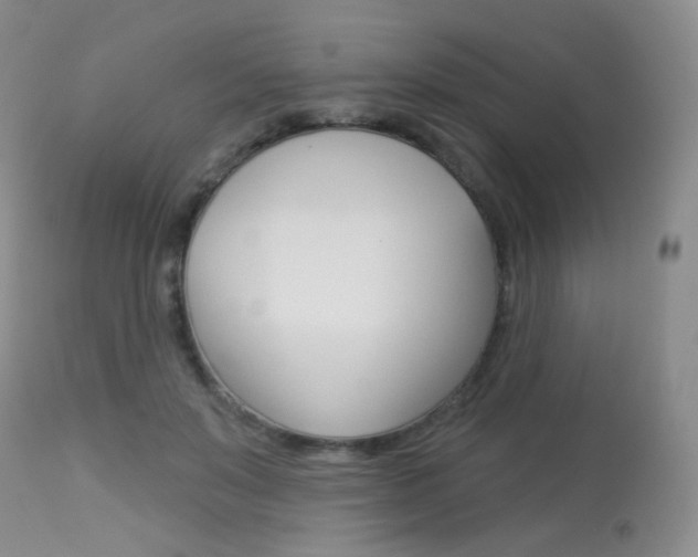 X0000113960503200909251029