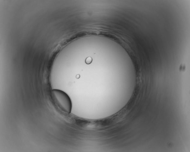 X0000113960504200909251029