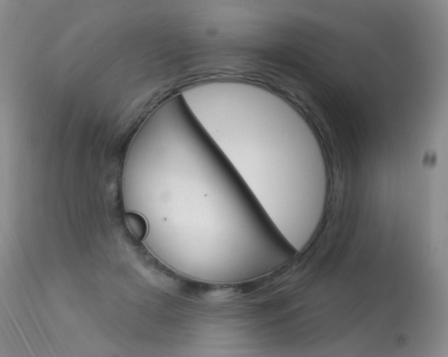 X0000113960505200909251029