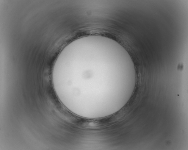 X0000113960506200909251029