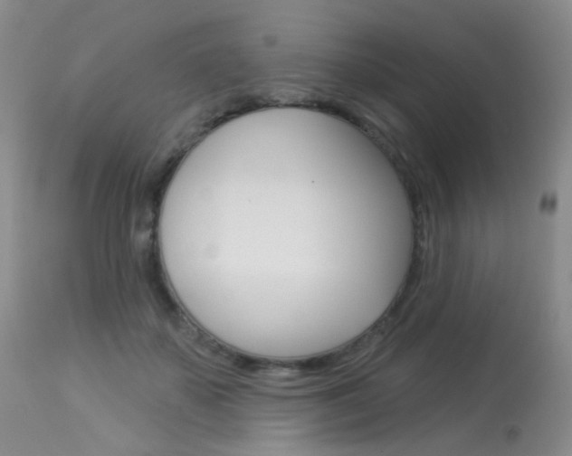 X0000113960507200909251029