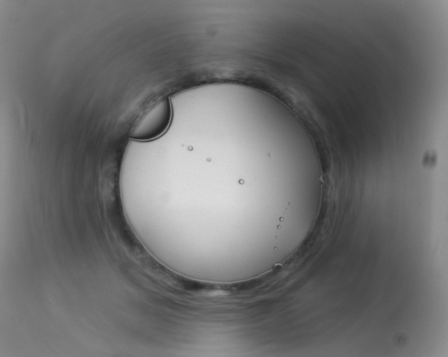 X0000113960509200909251029