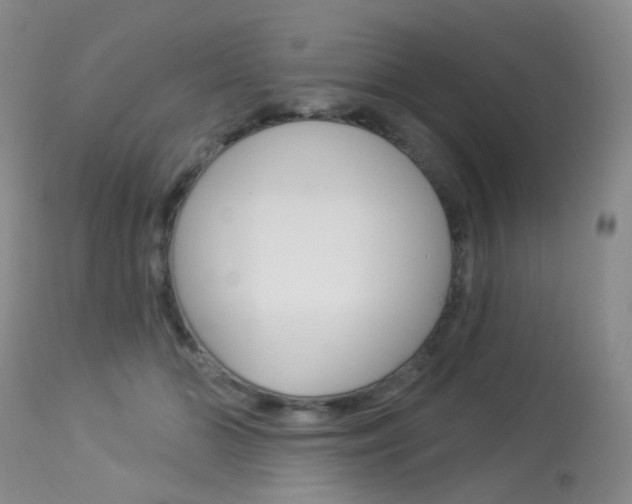 X0000113960510200909251029