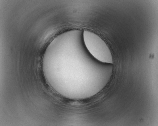 X0000113960511200909251029