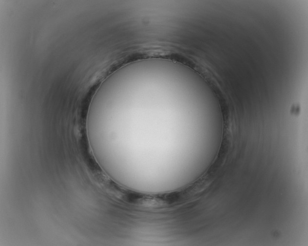 X0000113960512200909251029