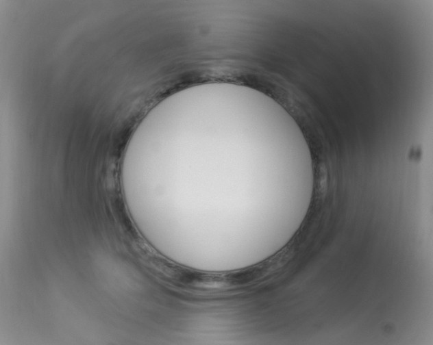 X0000113960514200909251029