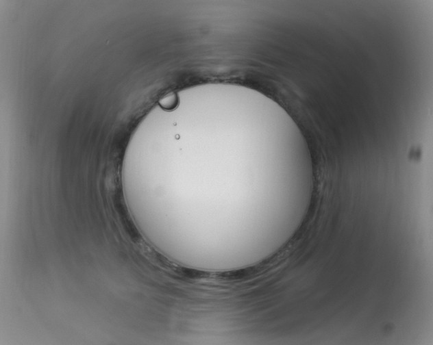 X0000113960515200909251029