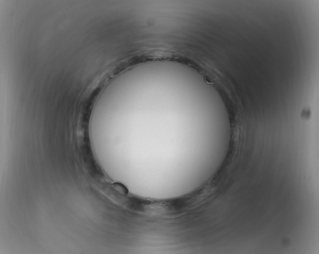 X0000113960516200909251029