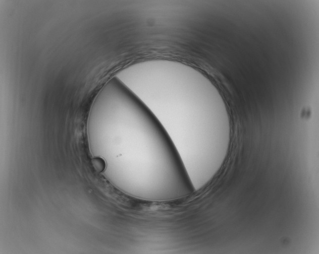 X0000113960517200909251029